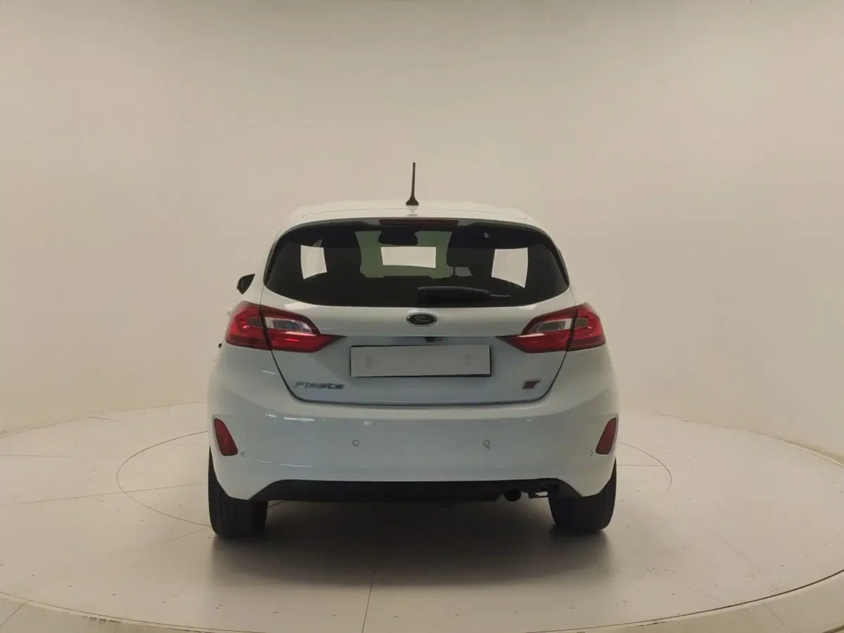Ford Fiesta usata a Avellino (6)