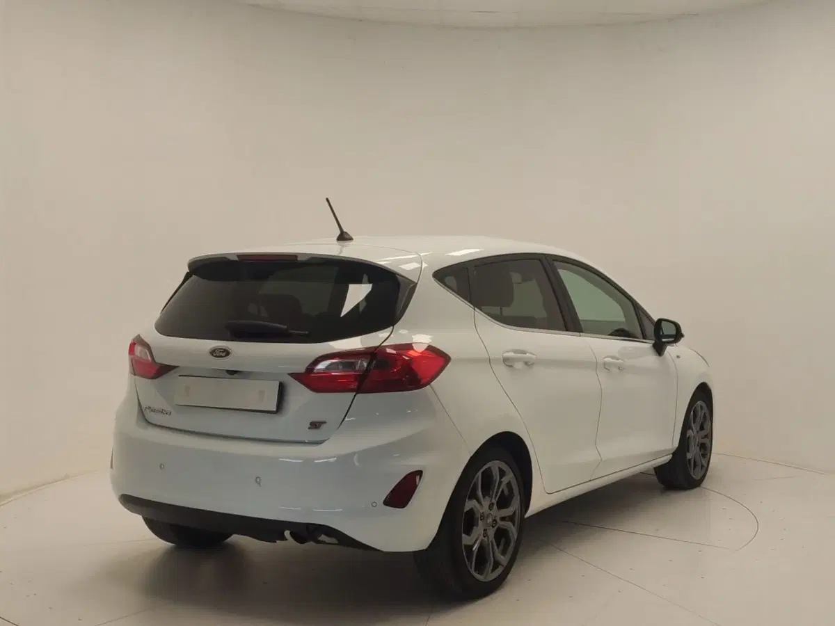 Ford Fiesta usata a Avellino (7)
