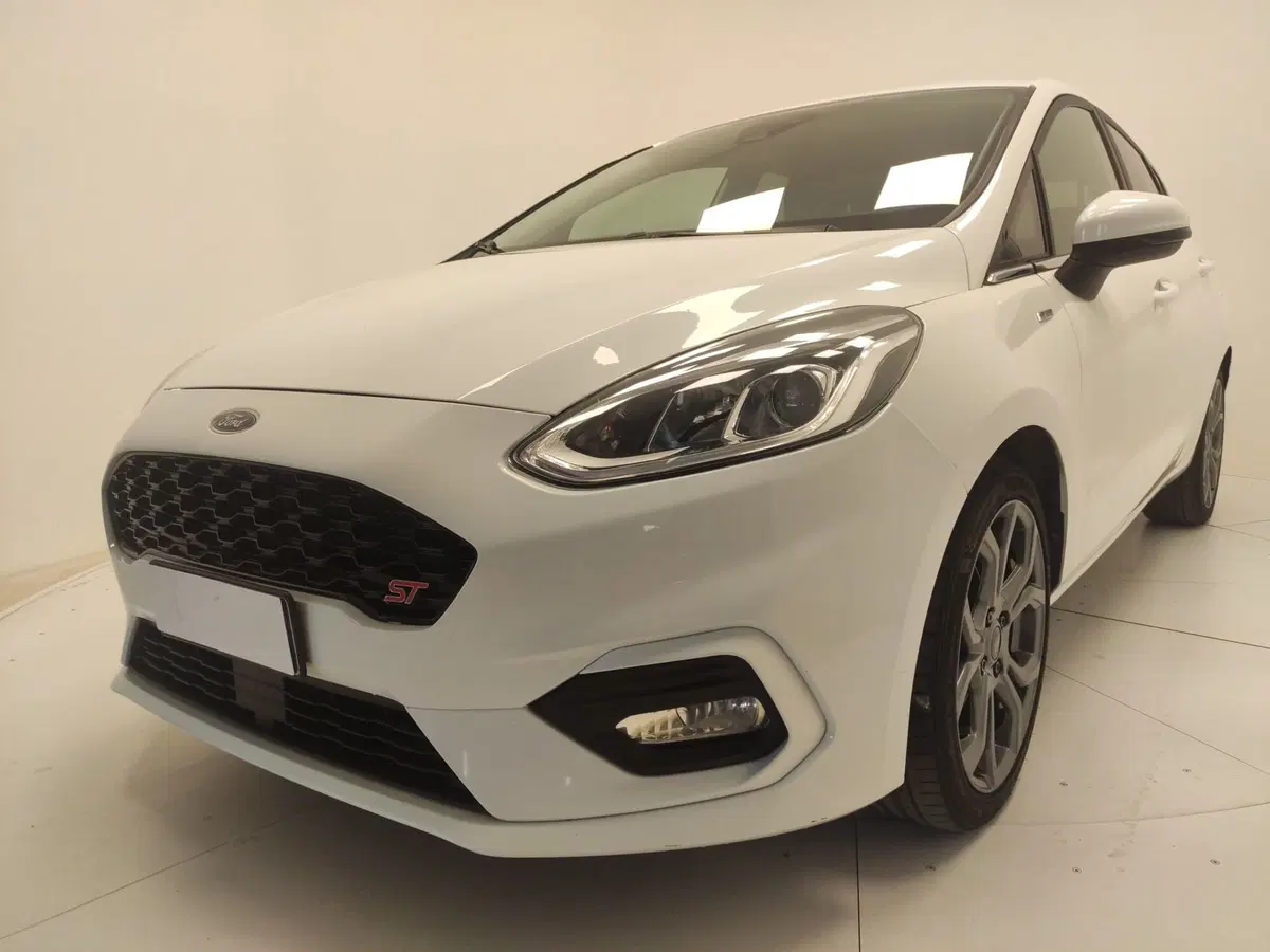 Ford Fiesta usata a Avellino (8)