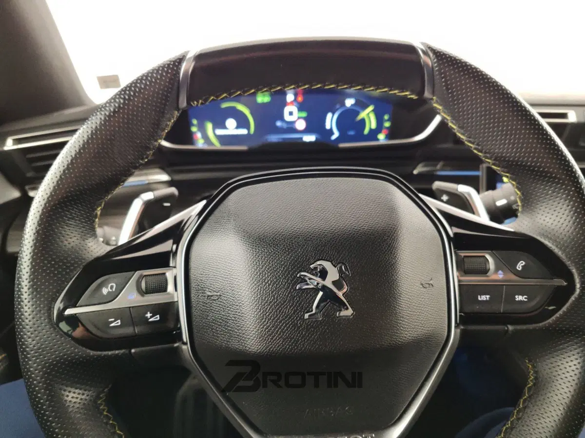 Peugeot 508 SW usata a Massa-Carrara (14)