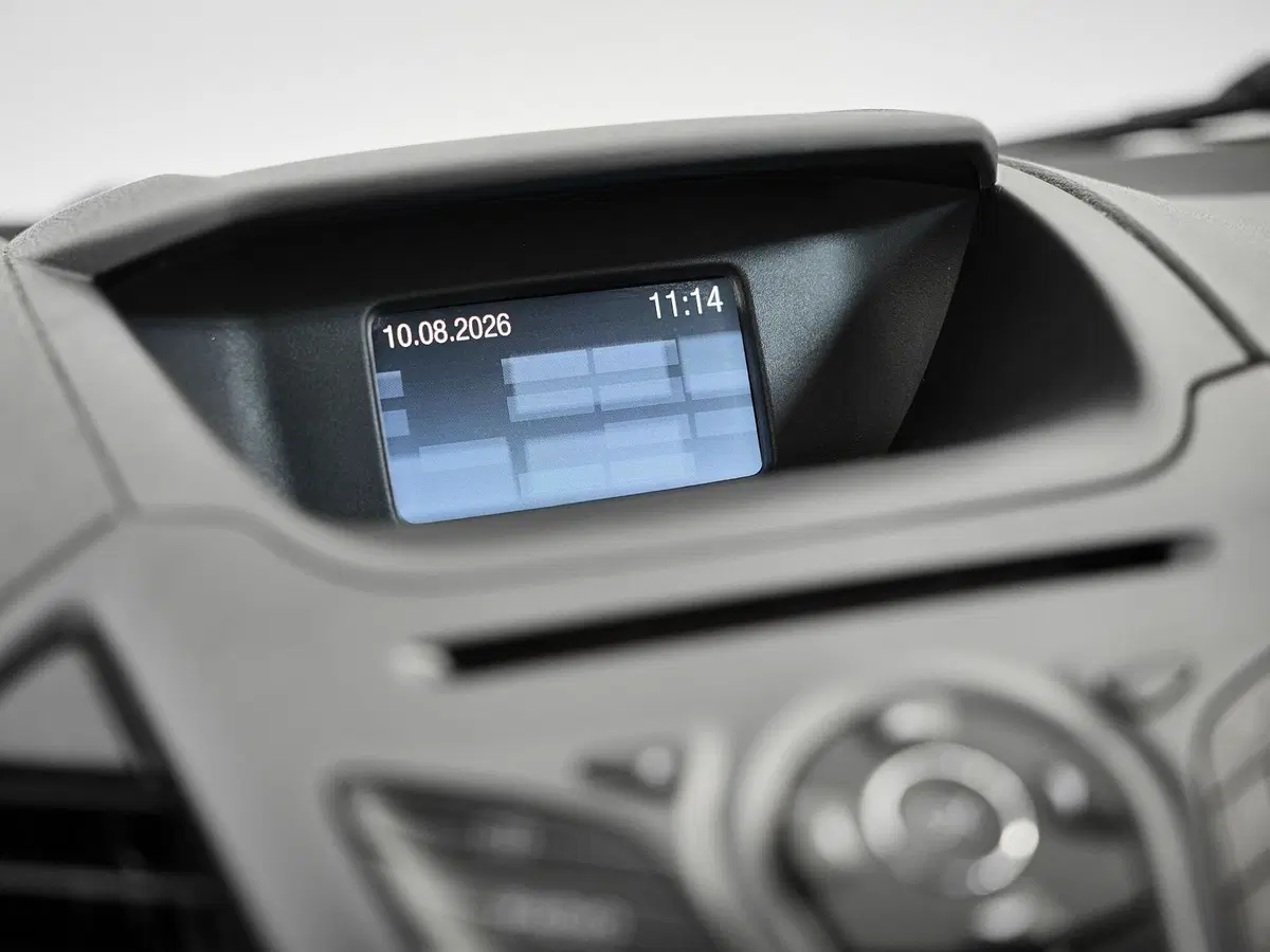 Ford EcoSport usata a Prato (10)