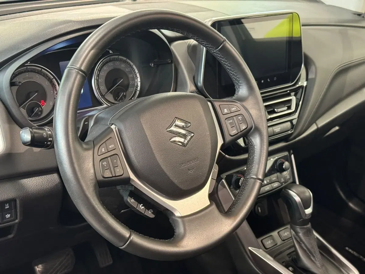 Suzuki S-Cross usata a Varese (10)