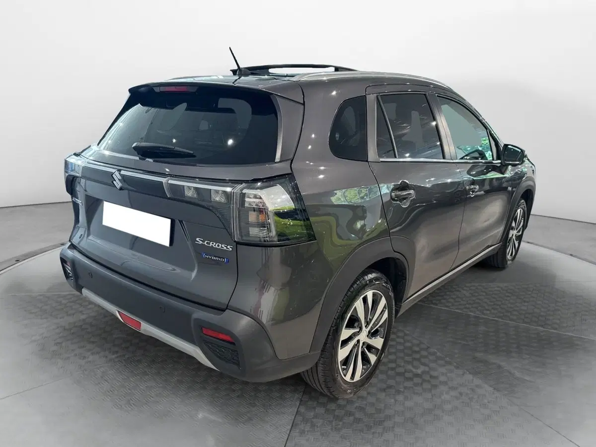 Suzuki S-Cross usata a Varese (3)
