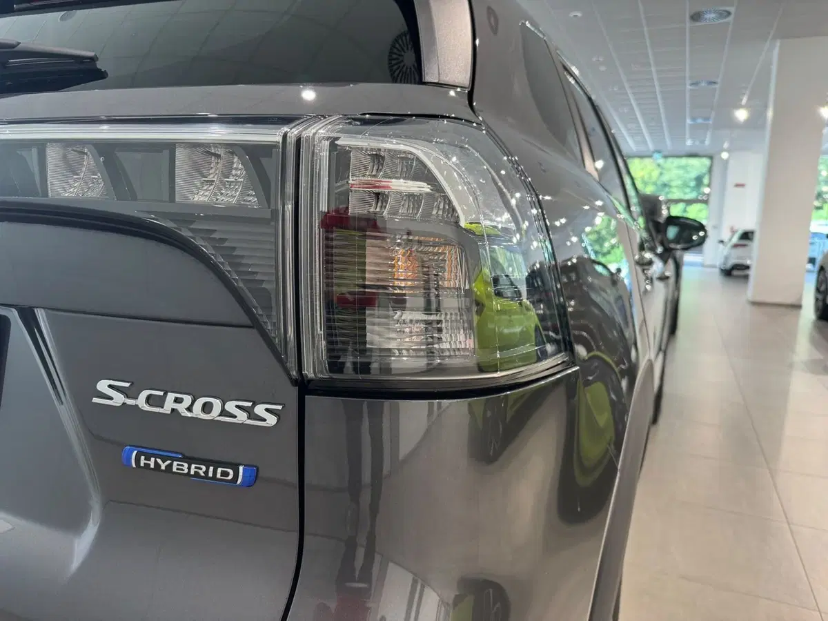 Suzuki S-Cross usata a Varese (6)