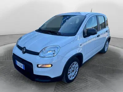 Fiat Panda Cross Cross 1.0 FireFly S&amp;S Hybrid del 2024 usata a Fisciano