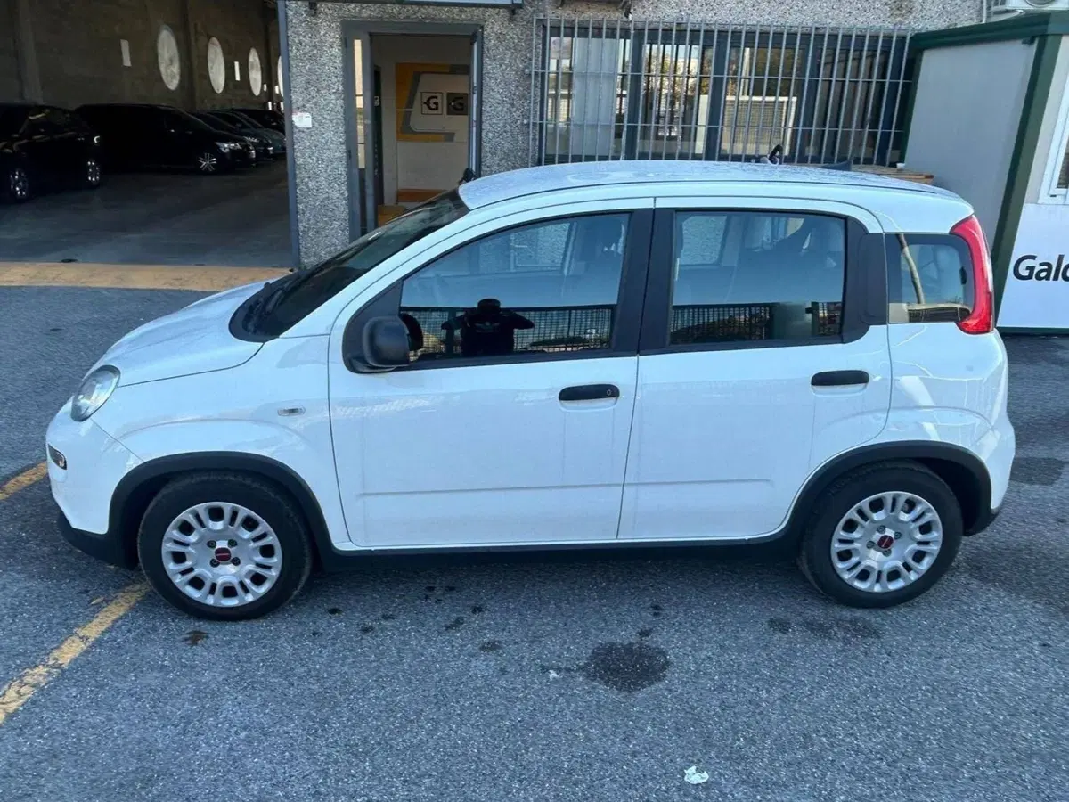 Fiat Panda Cross usata a Salerno (10)