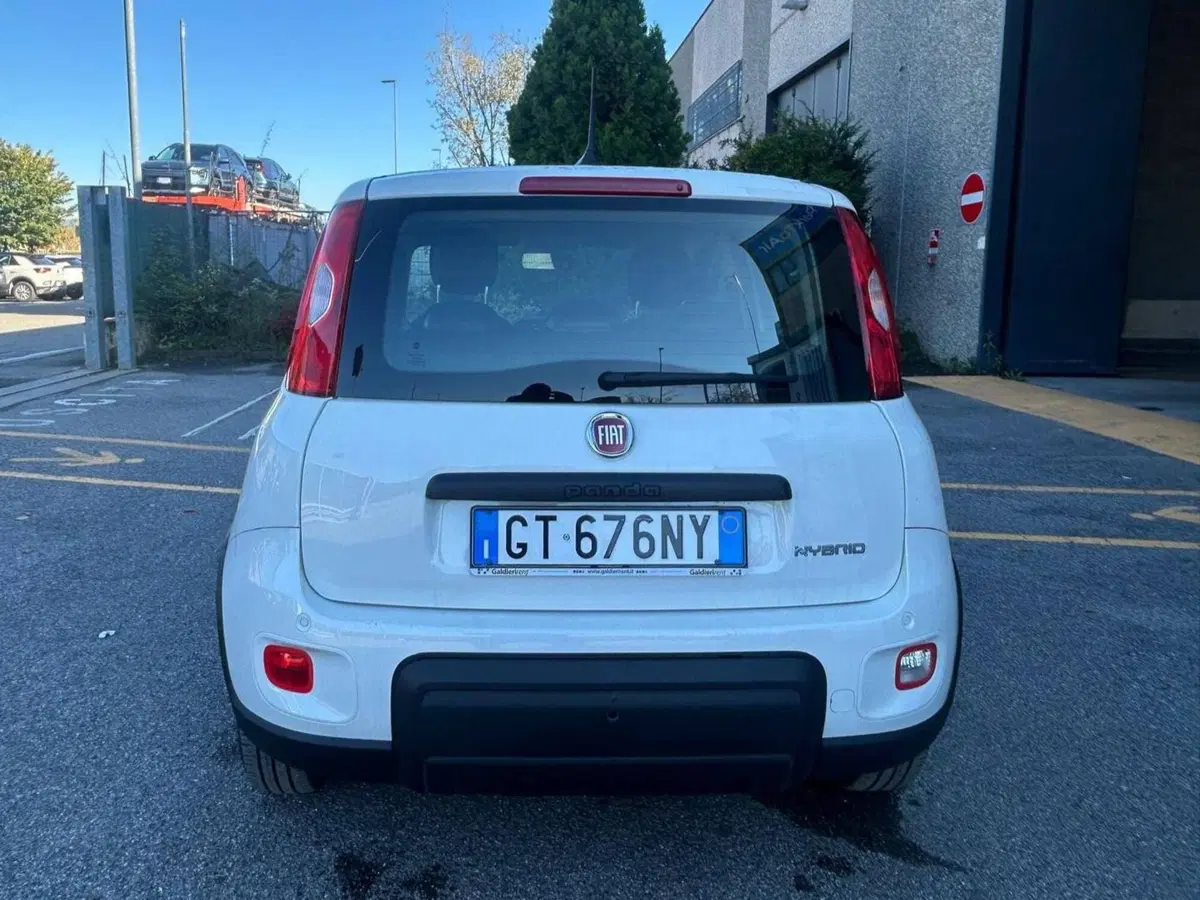 Fiat Panda Cross usata a Salerno (11)