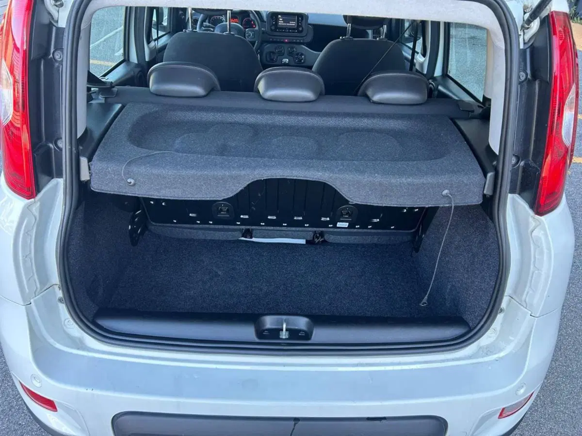 Fiat Panda Cross usata a Salerno (12)