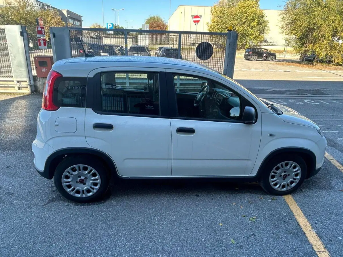 Fiat Panda Cross usata a Salerno (14)