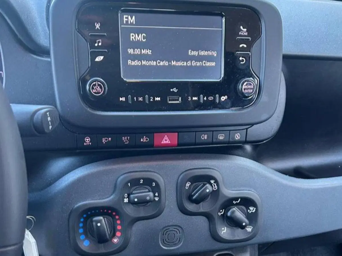 Fiat Panda Cross usata a Salerno (19)