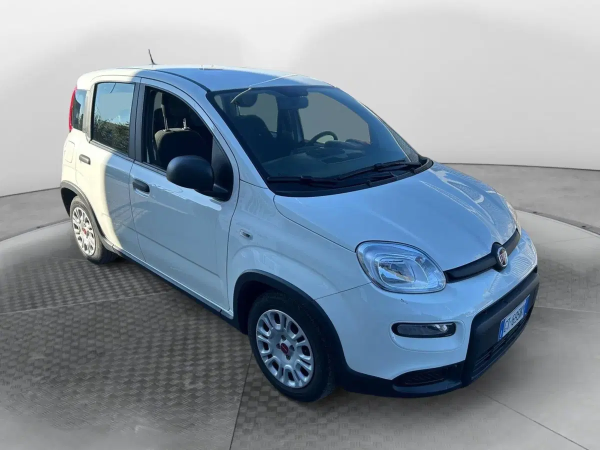 Fiat Panda Cross usata a Salerno (2)