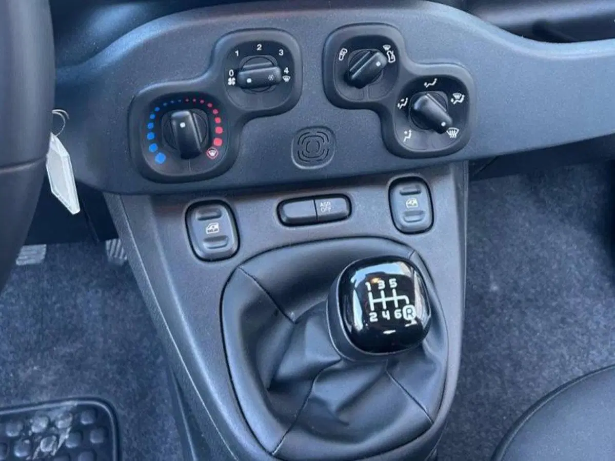 Fiat Panda Cross usata a Salerno (20)