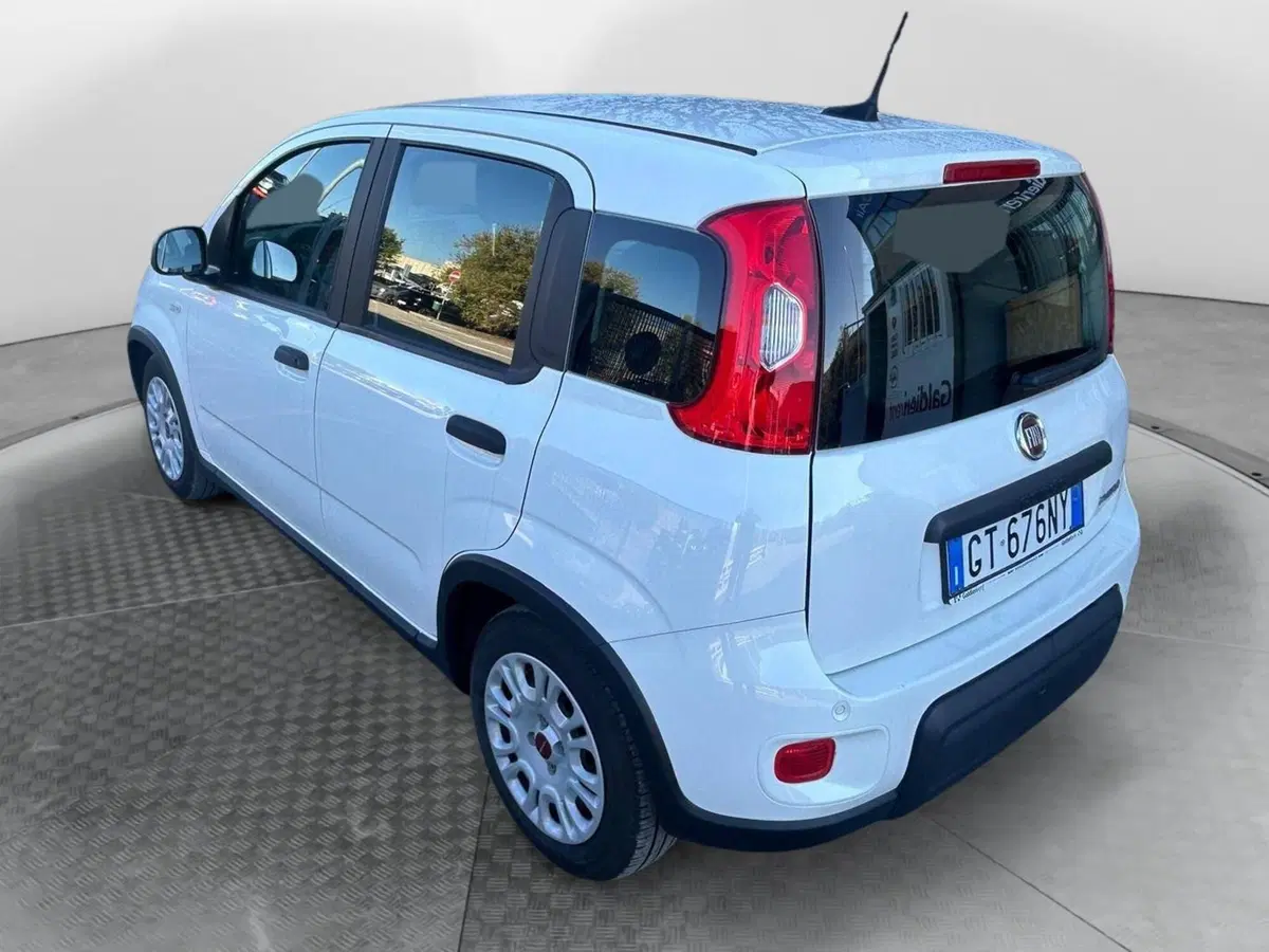 Fiat Panda Cross usata a Salerno (3)