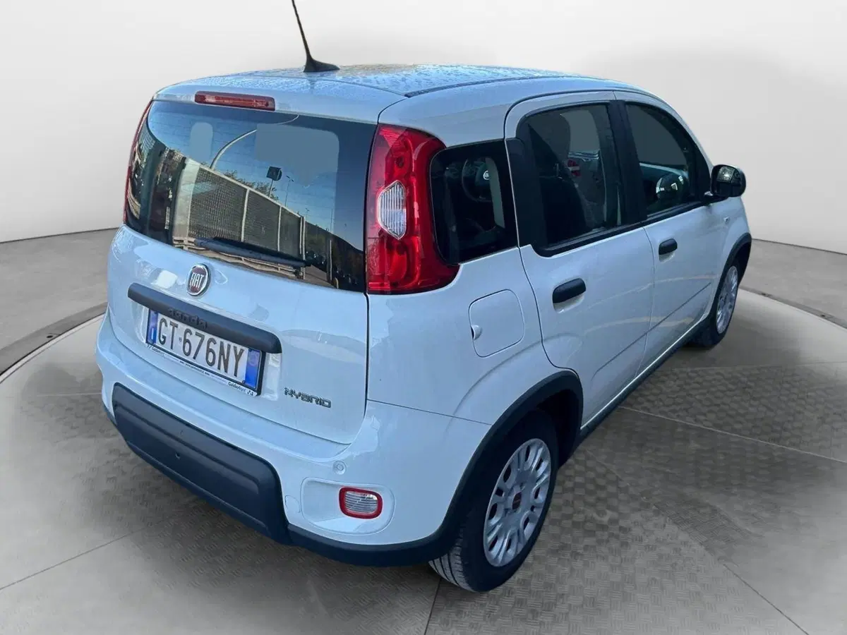 Fiat Panda Cross usata a Salerno (4)