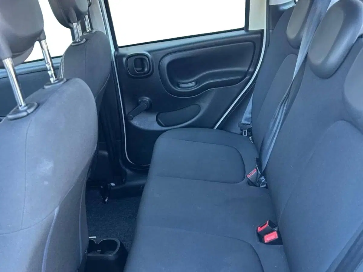 Fiat Panda Cross usata a Salerno (7)