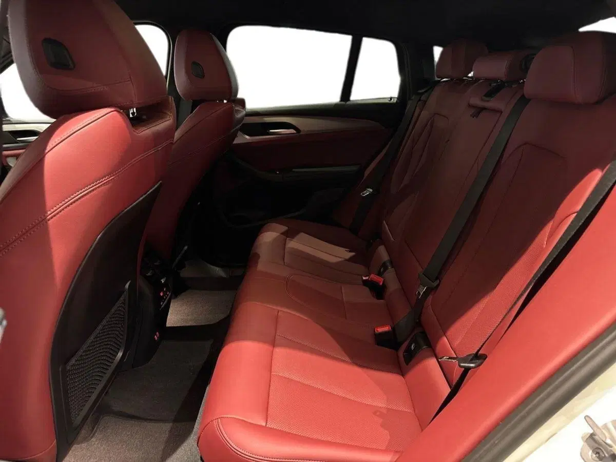 BMW X4 usata a Firenze (12)