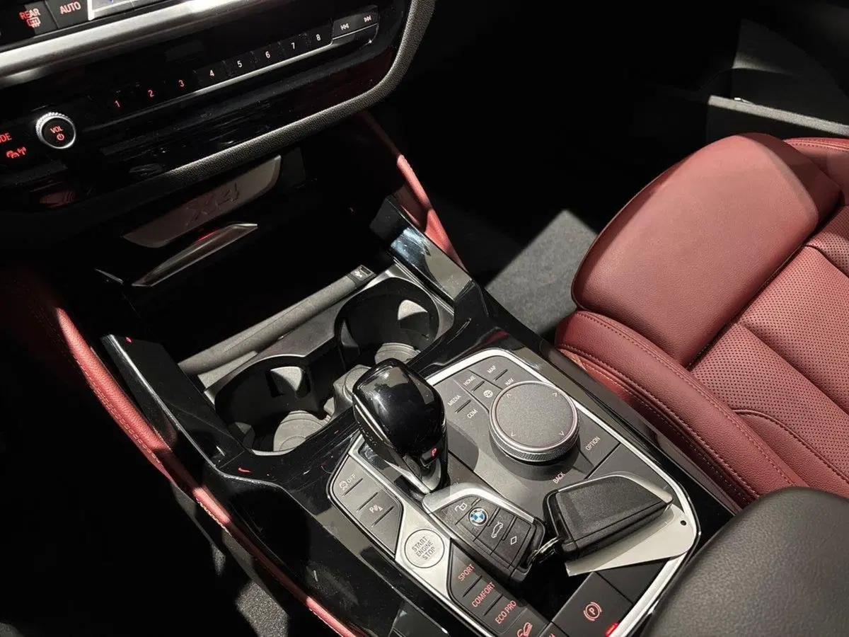 BMW X4 usata a Firenze (15)