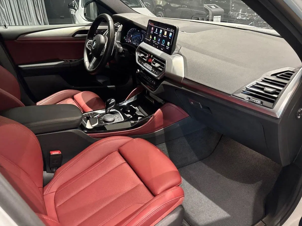 BMW X4 usata a Firenze (16)
