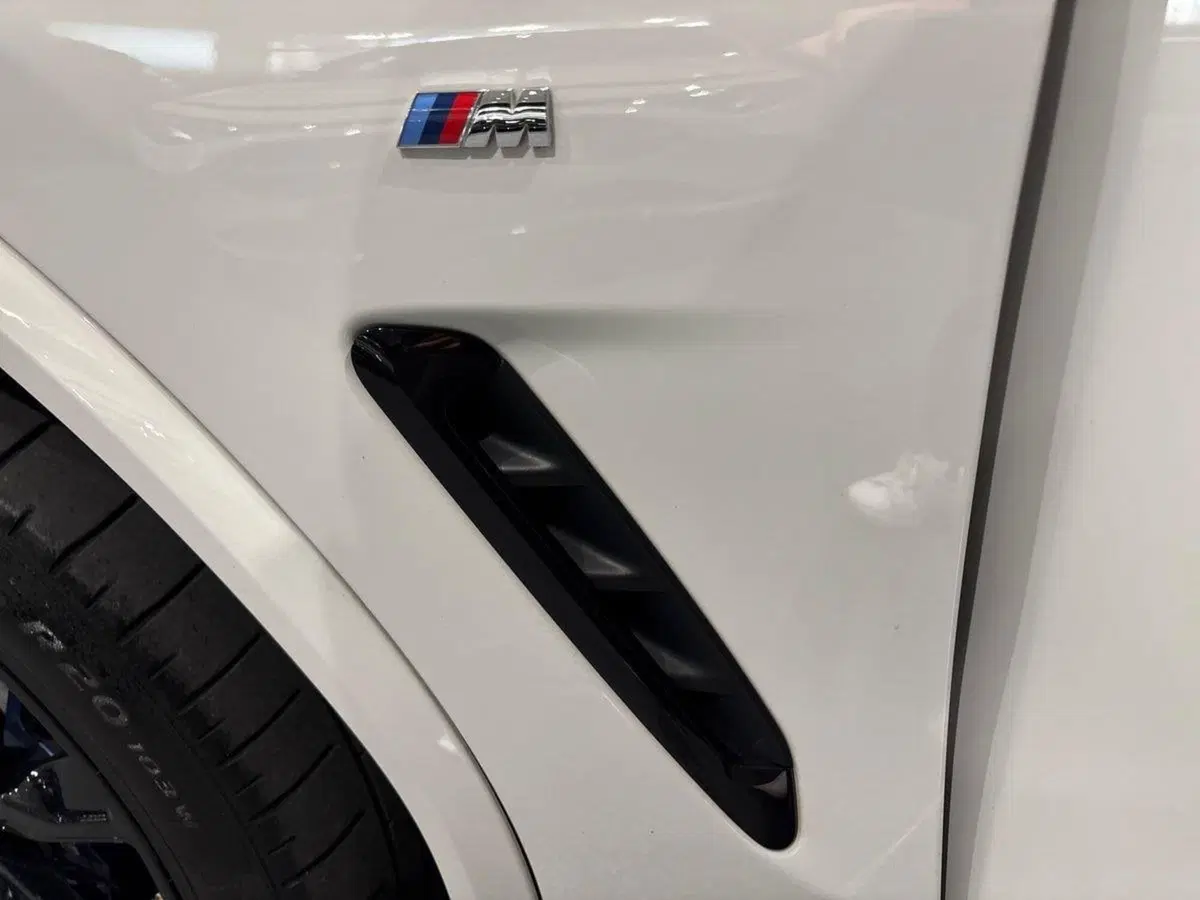 BMW X4 usata a Firenze (18)