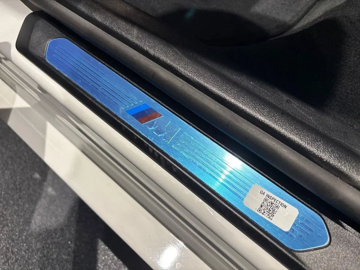 BMW X4 usata a Firenze (19)
