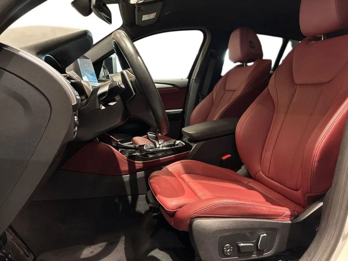 BMW X4 usata a Firenze (9)