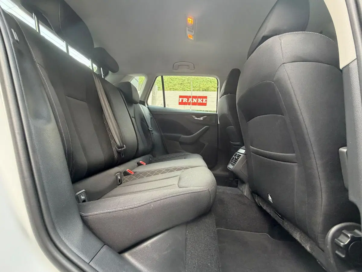 Skoda Kamiq usata a Ancona (16)