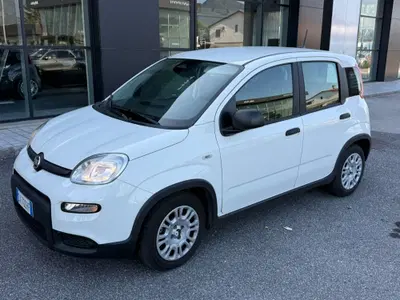 Fiat Panda Cross Cross 1.0 FireFly S&amp;S Hybrid del 2024 usata a Ceccano