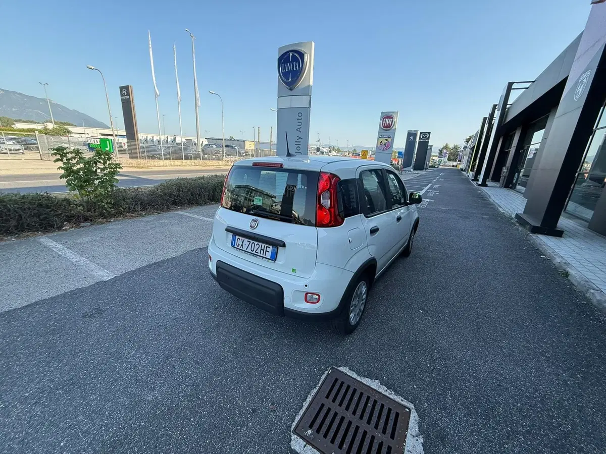 Fiat Panda Cross usata a Frosinone (10)