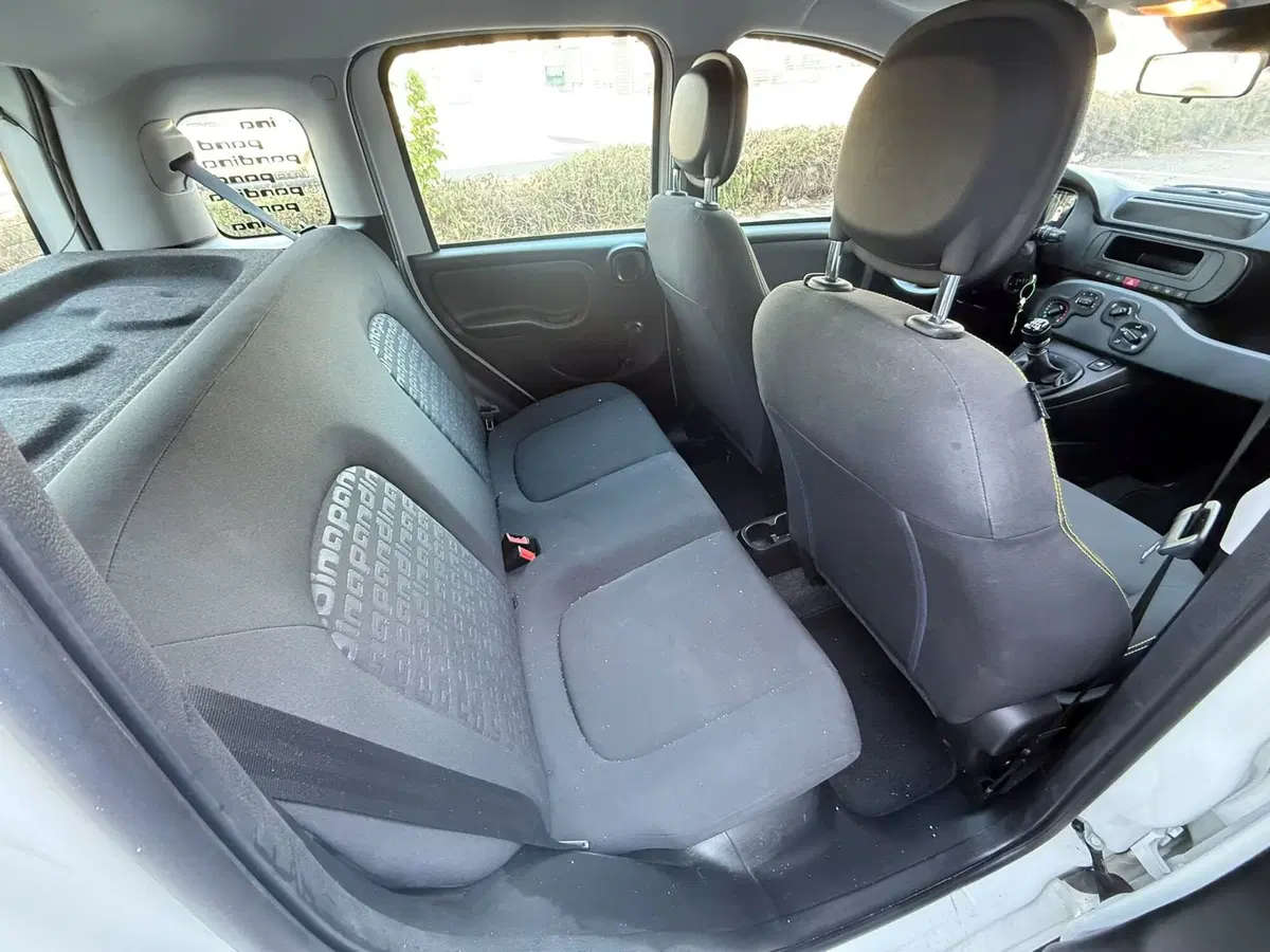 Fiat Panda Cross usata a Frosinone (12)