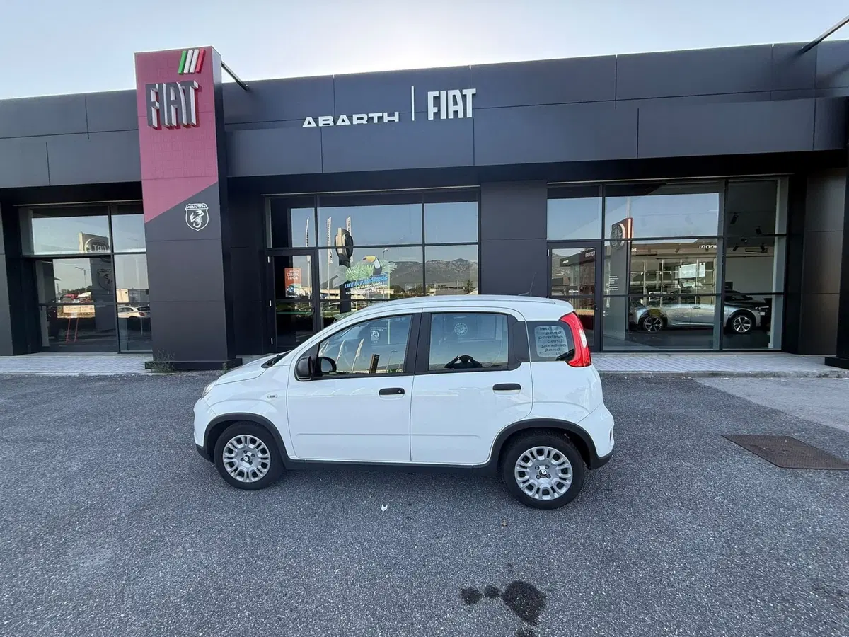 Fiat Panda Cross usata a Frosinone (13)