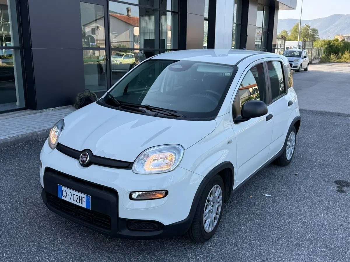 Fiat Panda Cross usata a Frosinone (14)