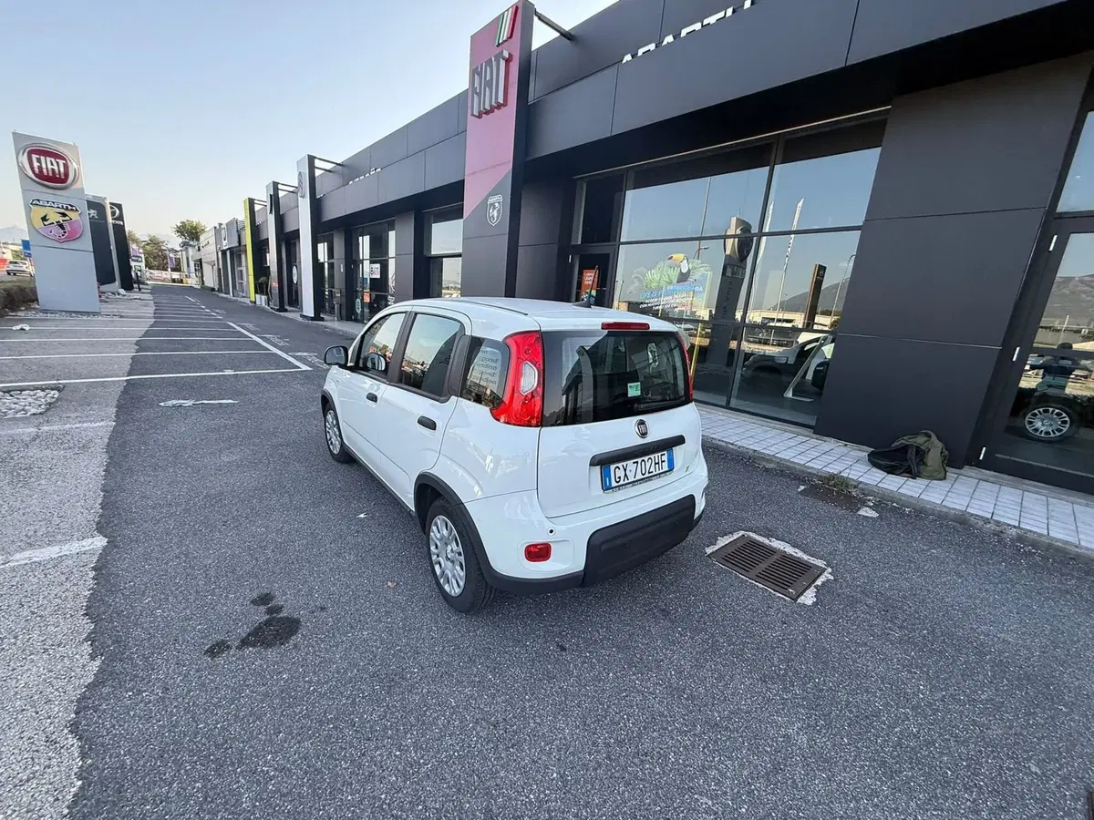 Fiat Panda Cross usata a Frosinone (2)