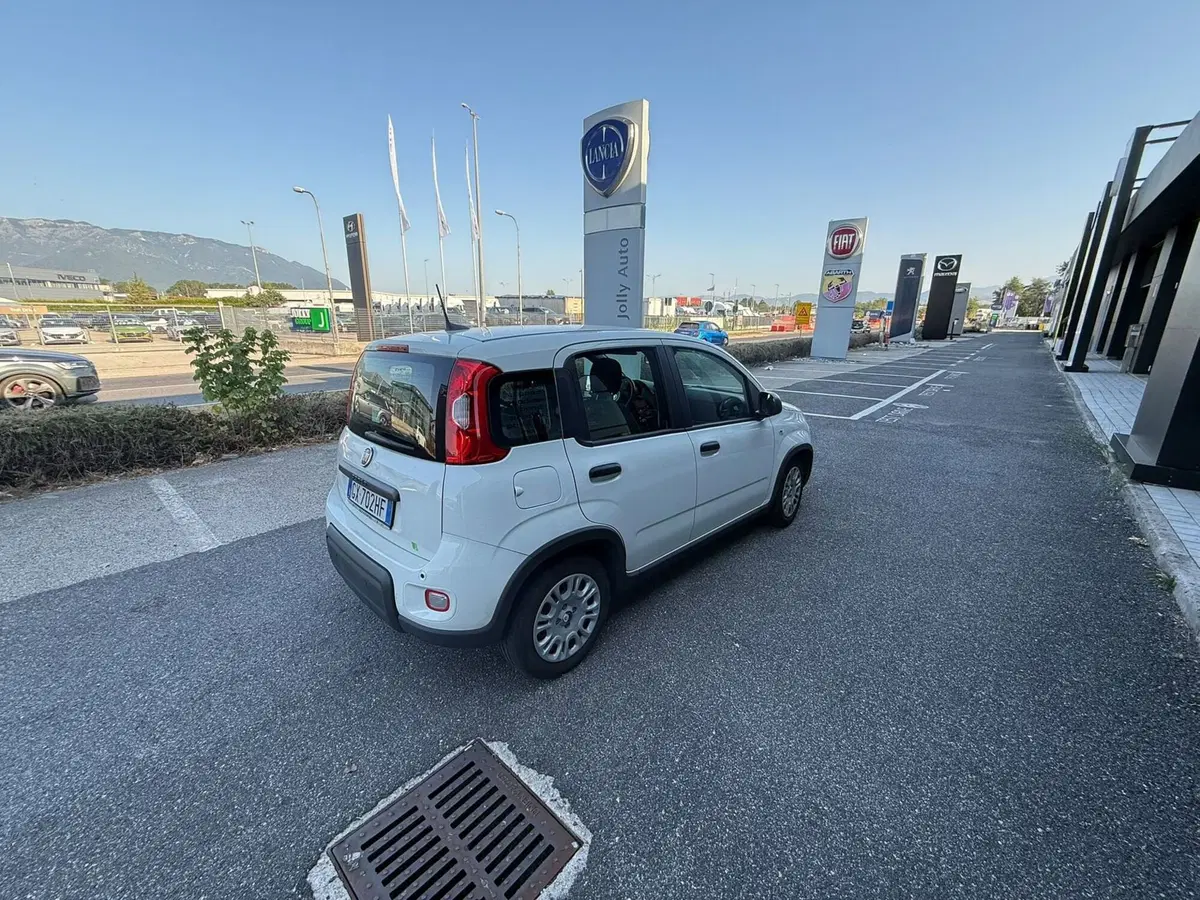 Fiat Panda Cross usata a Frosinone (3)