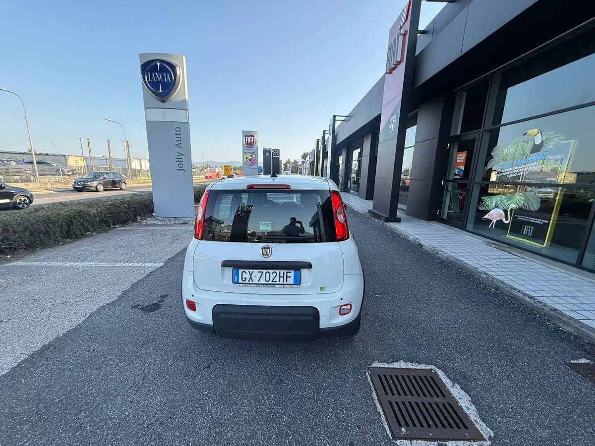 Fiat Panda Cross usata a Frosinone (5)