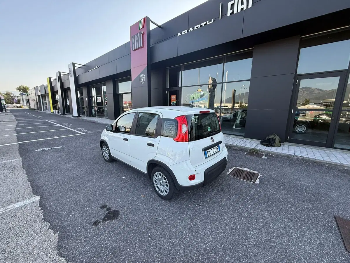 Fiat Panda Cross usata a Frosinone (6)