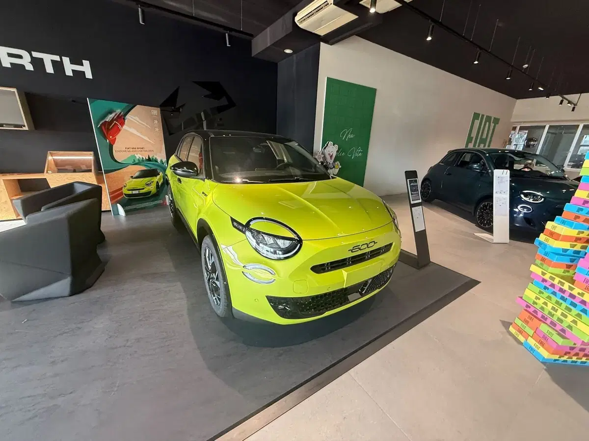 Fiat 600 nuova a Frosinone (14)