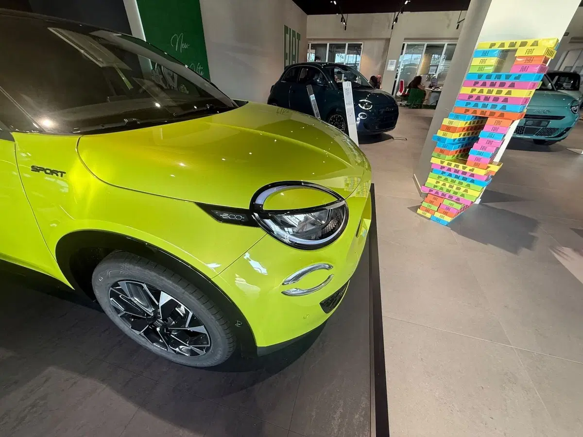Fiat 600 nuova a Frosinone (7)