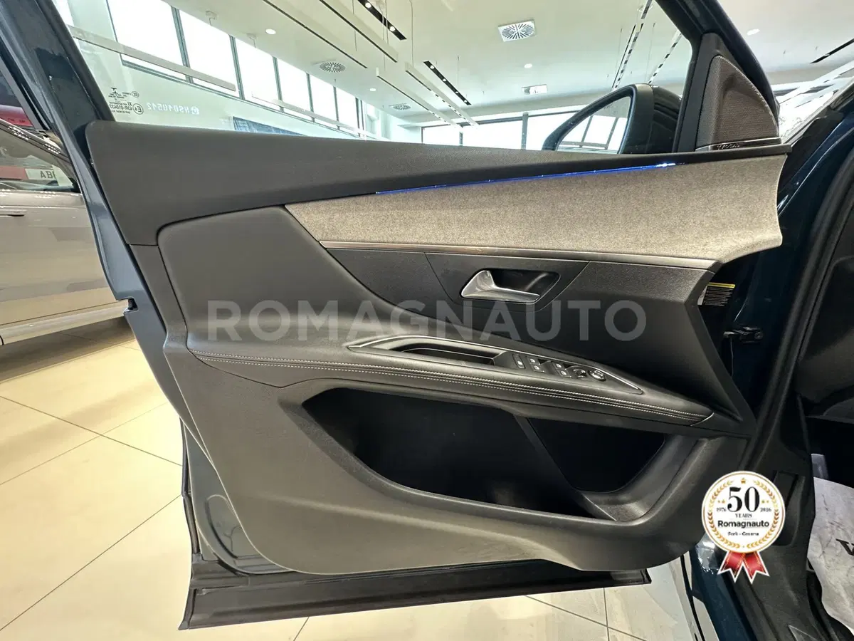 Peugeot 3008 usata a Forlì-Cesena (15)