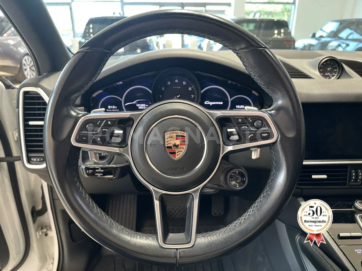Porsche Cayenne usata a Forlì-Cesena (16)