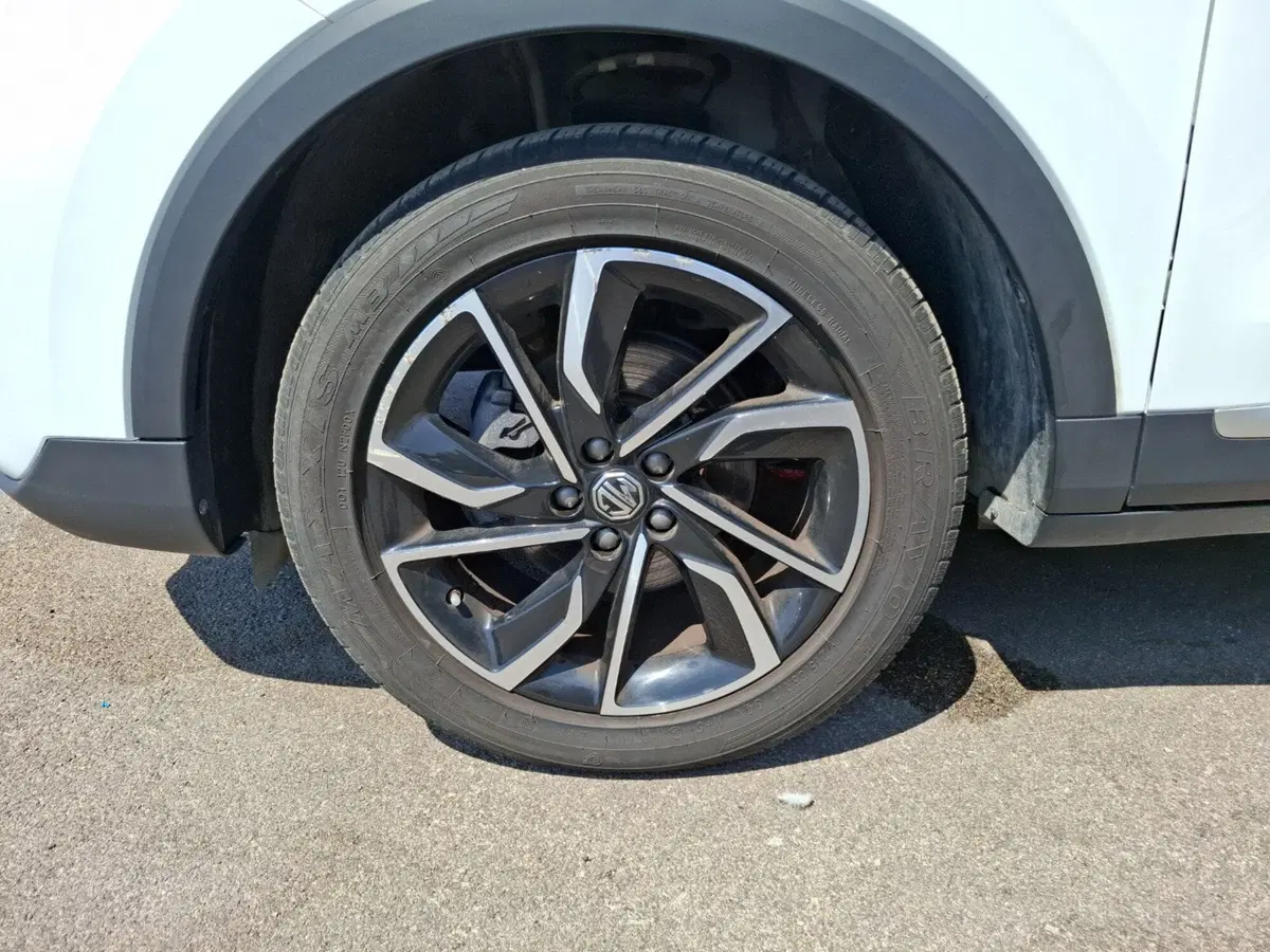 Mg ZS usata a Latina (11)