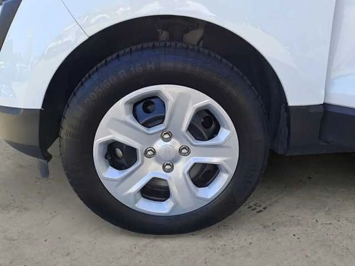 Ford EcoSport usata a Venezia (18)