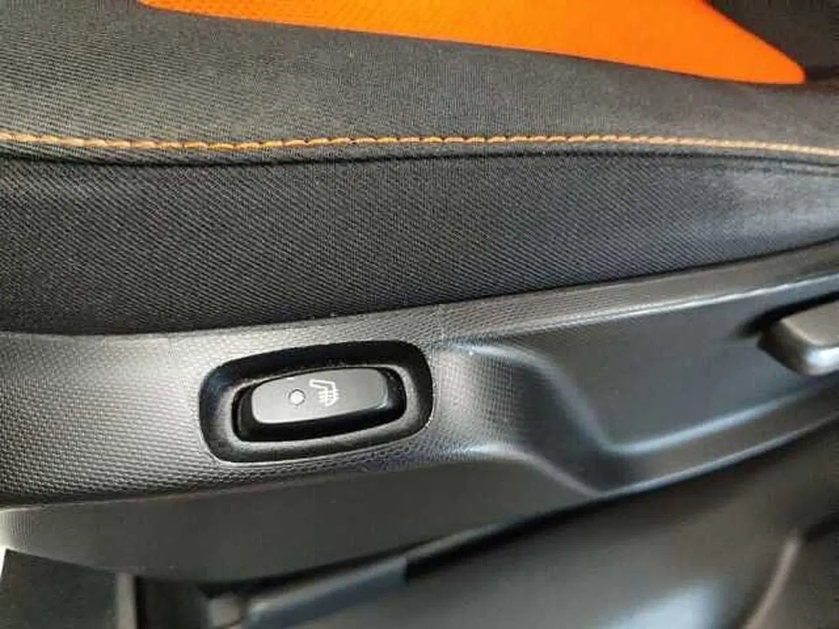 smart forfour usata a Milano (16)