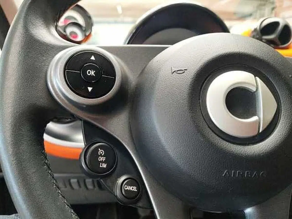 smart forfour usata a Milano (18)