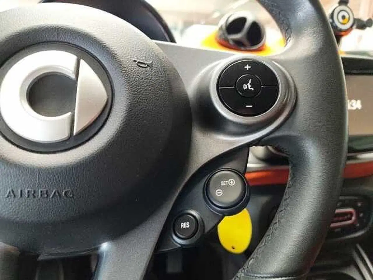 smart forfour usata a Milano (19)