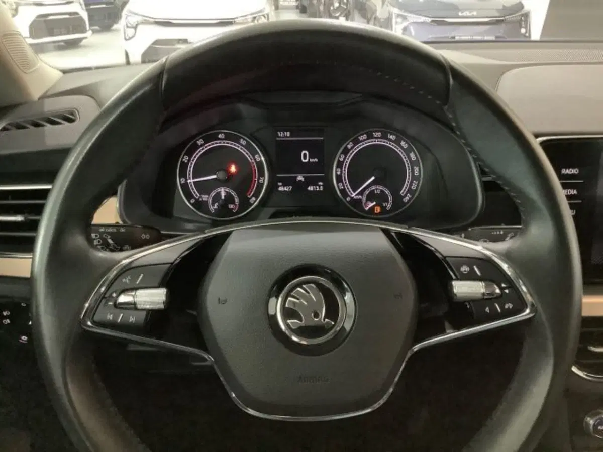 Skoda Kamiq usata a Catania (18)