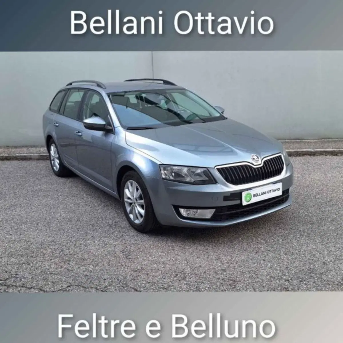 Skoda Octavia Station Wagon usata a Belluno