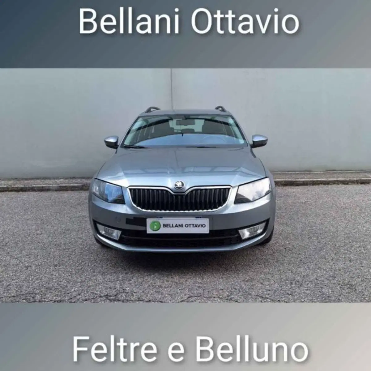 Skoda Octavia Station Wagon usata a Belluno (2)