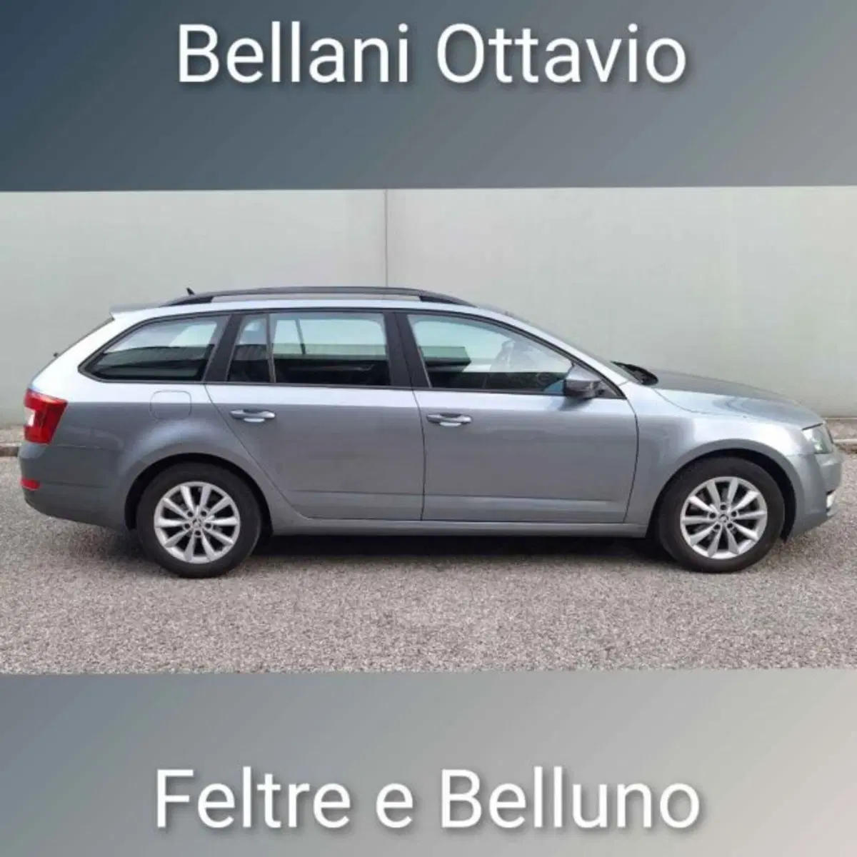 Skoda Octavia Station Wagon usata a Belluno (3)