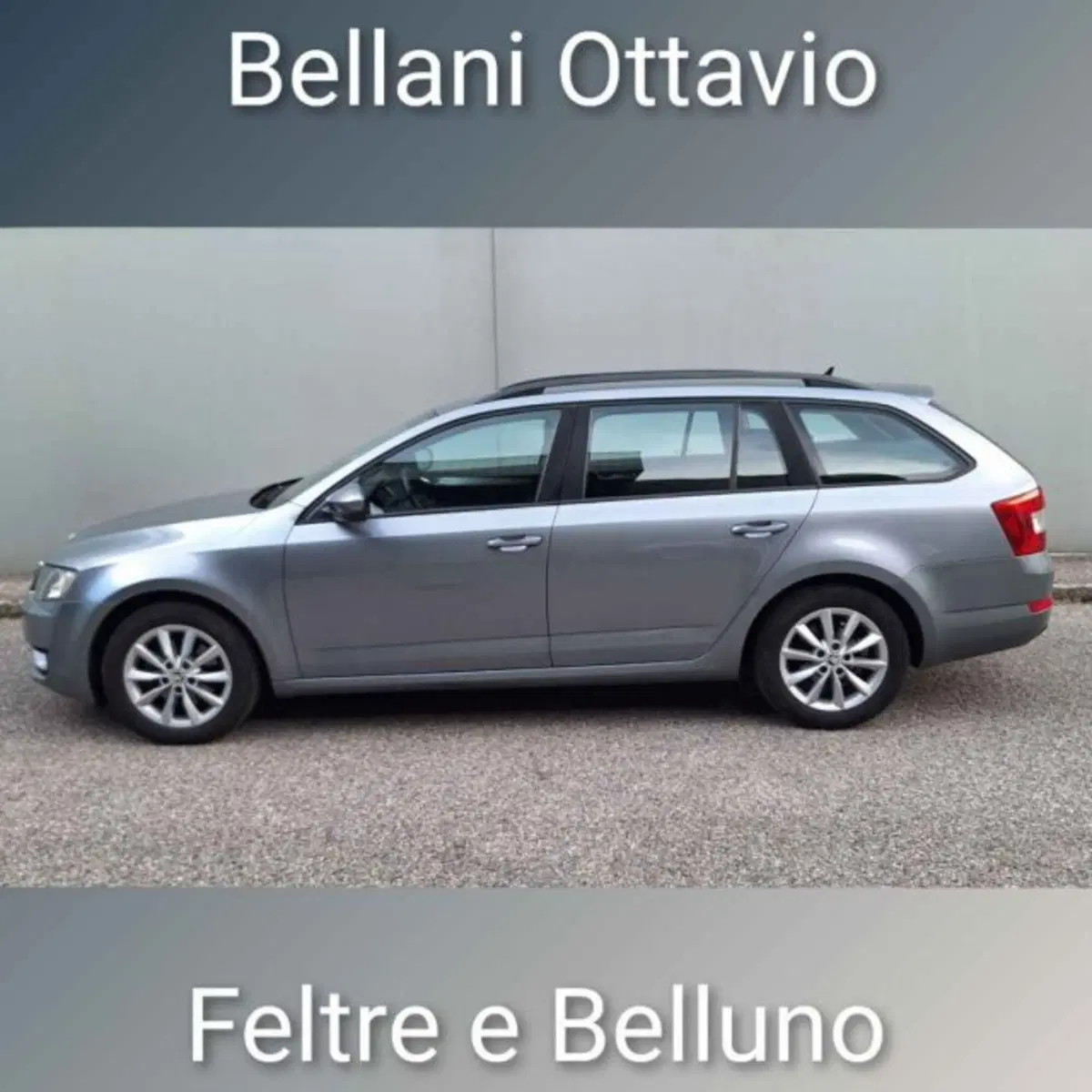Skoda Octavia Station Wagon usata a Belluno (4)