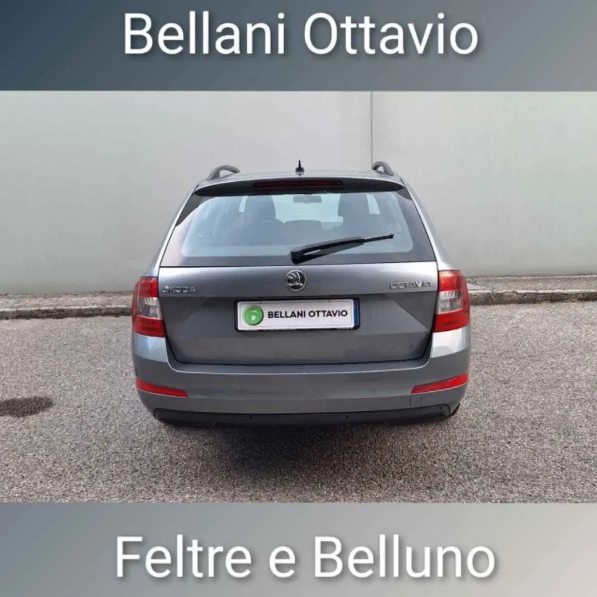 Skoda Octavia Station Wagon usata a Belluno (5)